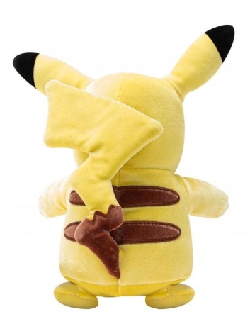 pikachu 0.jpg