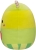 41c+4Pwv3WL._AC_SL1000_.jpg