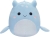 squi.jpg